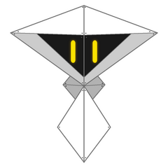 Chip